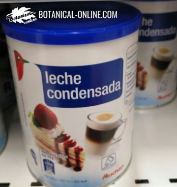 Leche condensada