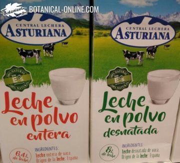 Leche en polvo