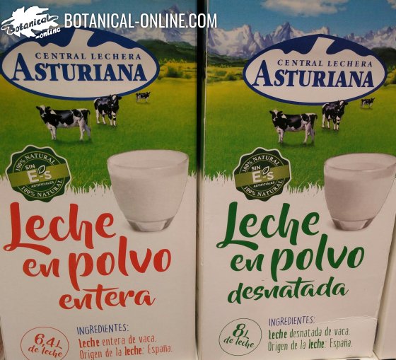 Leche Desnatada En Polvo