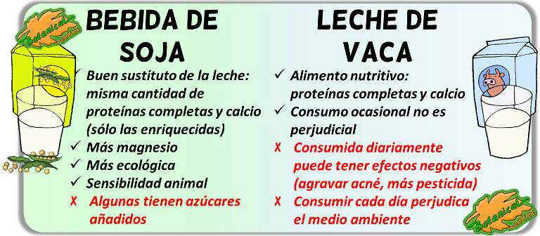 diferencias soja leche bebida vegetal