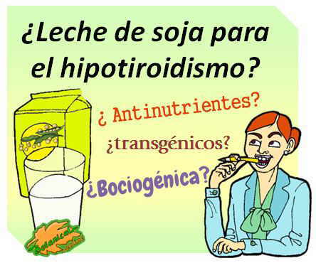 leche soja hipotiroidismo tiroides