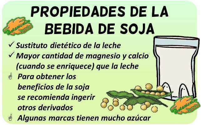 Soja: Propiedades, beneficios, mitos y valor nutricional