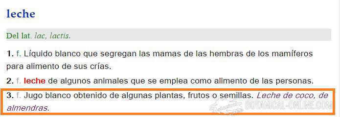 definicion leche vegetal real academia española castellano bebida vegetal