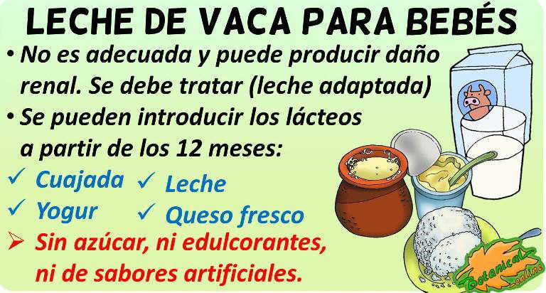 leche de vaca para bebes