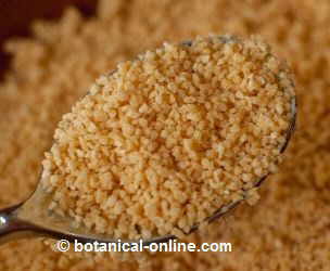 LECITINA DE SOJA GRANULADA - Natural Dietética Online