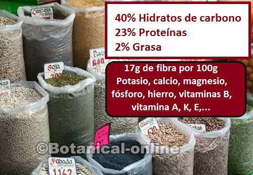 composicion nutricional de las verduras, fibra, azucares