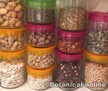 legumbres semillas almacenamiento