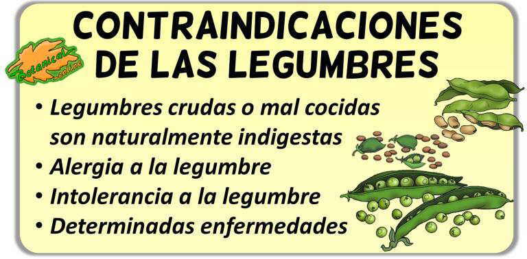 contraindicaciones de las legumbres alergia intolerancia enfermedades