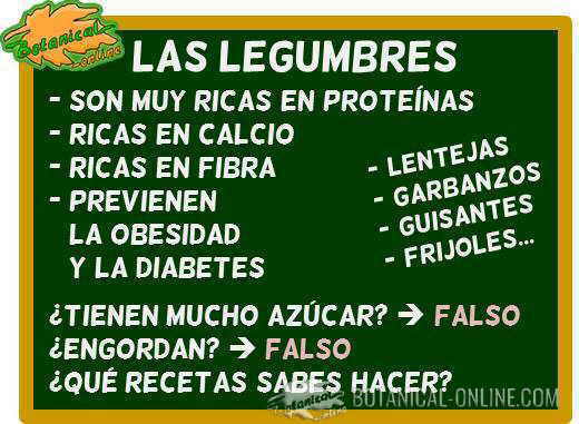 legumbres para niños educacion nutricional