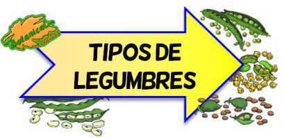 tipos de legumbres