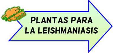 plantas para la leishmania