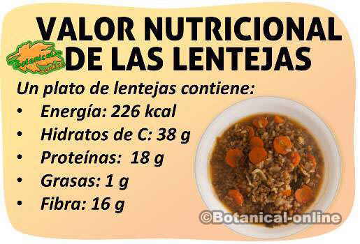 valor nutricional calorias proteinas grasas de las lentejas y beneficios