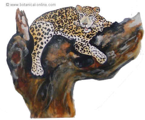 dibujo de leopardo