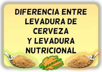 diferencias levadura cerveza y nutricional