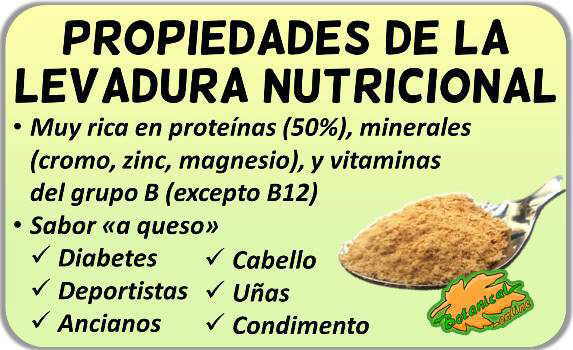 propiedades de la levadura nutricional o de cerveza y sus beneficios