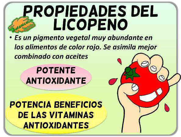 propiedades del licopeno flavonoide antioxidante del tomate