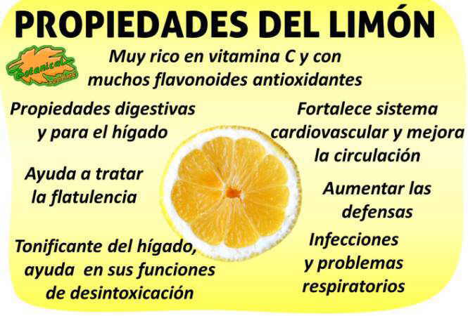 Resultado de imagen para beneficios del limon