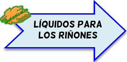 liquido riñones