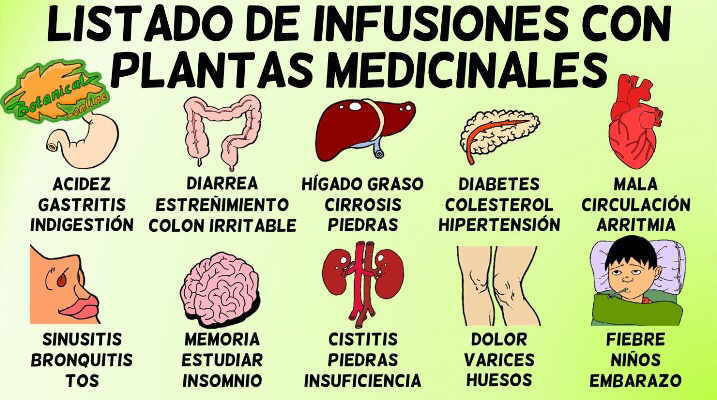 lista de remedios naturales con infusiones de plantas medicinales