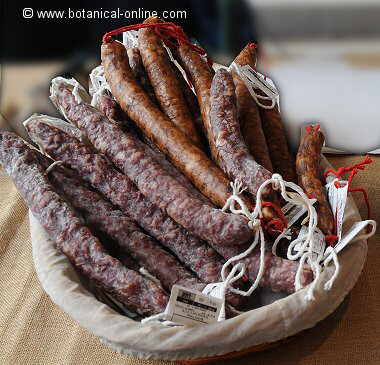 longanizas