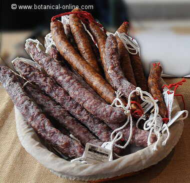 longanizas