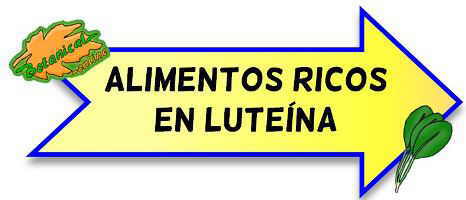 luteina alimentos