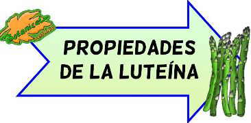 propiedades luteina