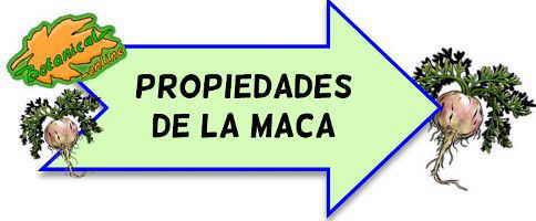 propiedades maca