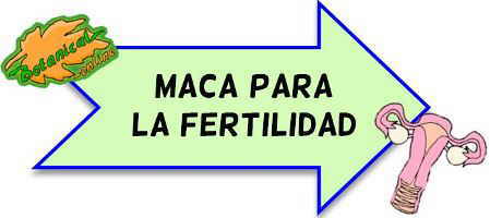 maca para la fertilidad