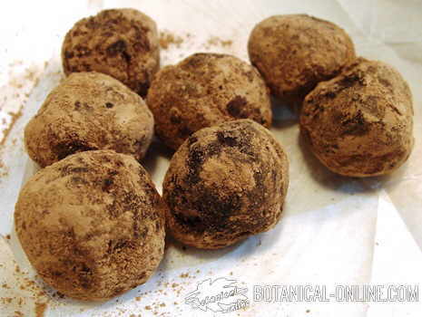 trufas maca