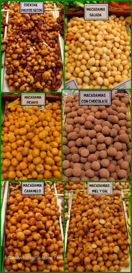 macadamias