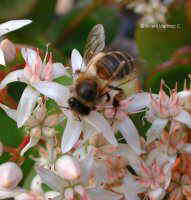 FOTO NATURALEZA