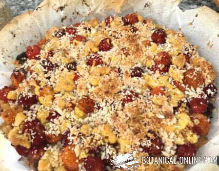 crumble de manzanas con madroños