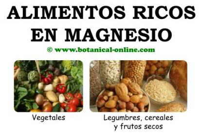 Alimentos ricos en magnesio para la osteoporosis