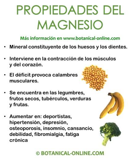 Contaminado Caña chocar Propiedades del magnesio – Botanical-online