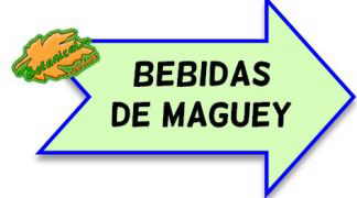 bebidas de maguey