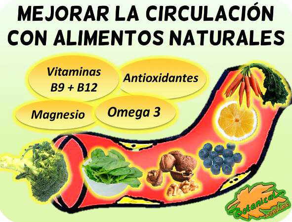 dieta mala circulacion arteriosclerosis