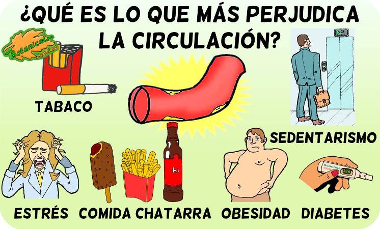 mala circulacion alimentos perjudiciales