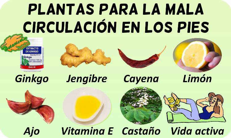 tratamiento natural de la mala circulación en los pies