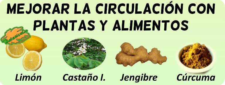 plantas medicinales remedios mala circulacion