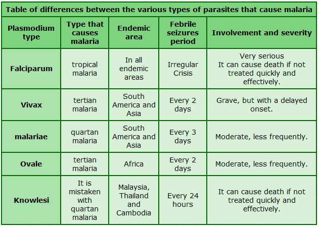 https://www.botanical-online.com/wp-content/uploads/malaria-parasites-types.jpg