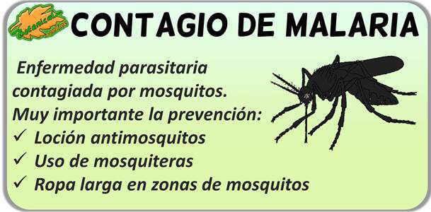 Tratamiento Contra La Malaria O Paludismo