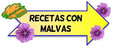 recetas de malvas