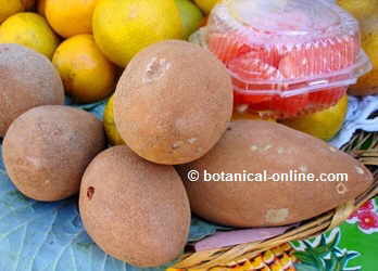 frutos de mamey en un mercado