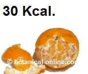 mandarina 30 calorias