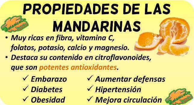 propiedades de las mandarinas