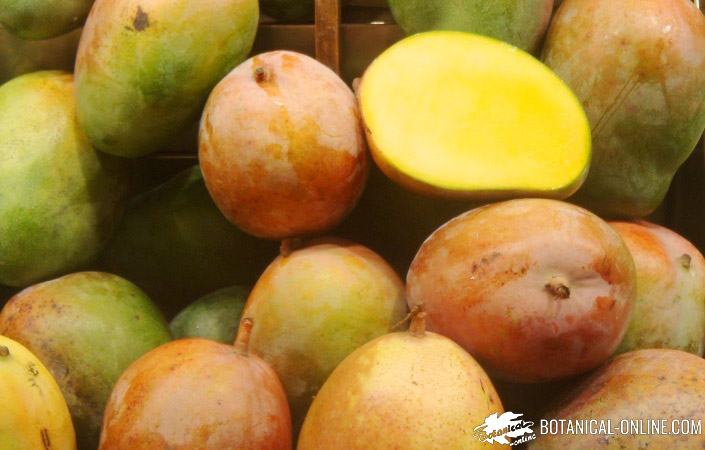 mangos en un mercado