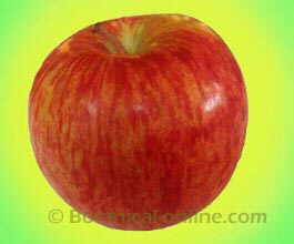 manzana