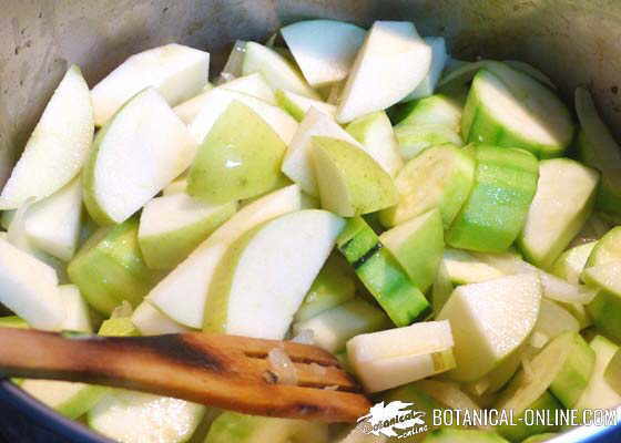 manzana en una crema de verduras