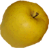 manzana